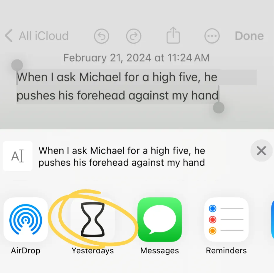 Yesterdays sharing UI screenshot
